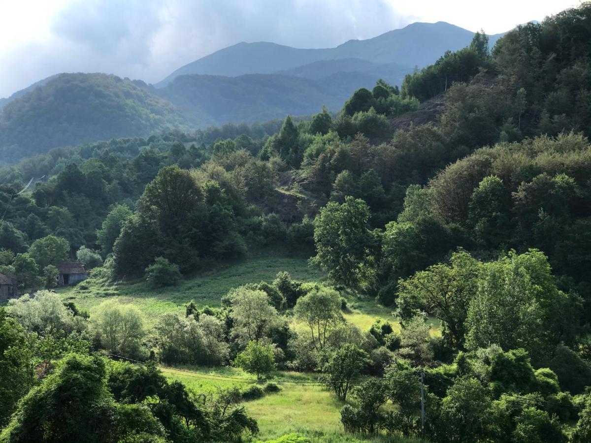 Aphrodite Hills Apartments-Stara Planina Crni Vrh Eksteriør billede
