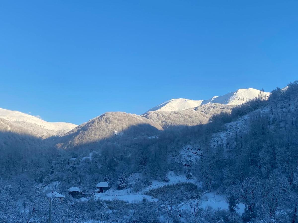 Aphrodite Hills Apartments-Stara Planina Crni Vrh Eksteriør billede