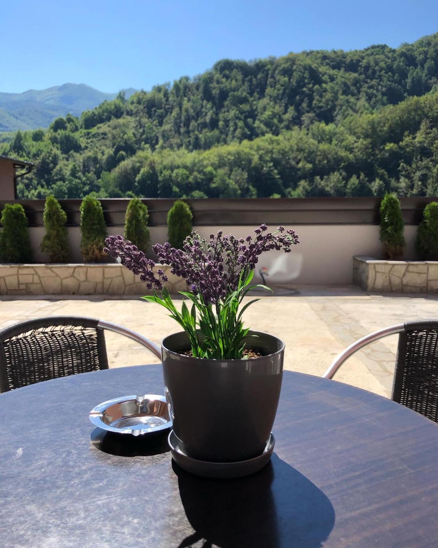 Aphrodite Hills Apartments-Stara Planina Crni Vrh Eksteriør billede