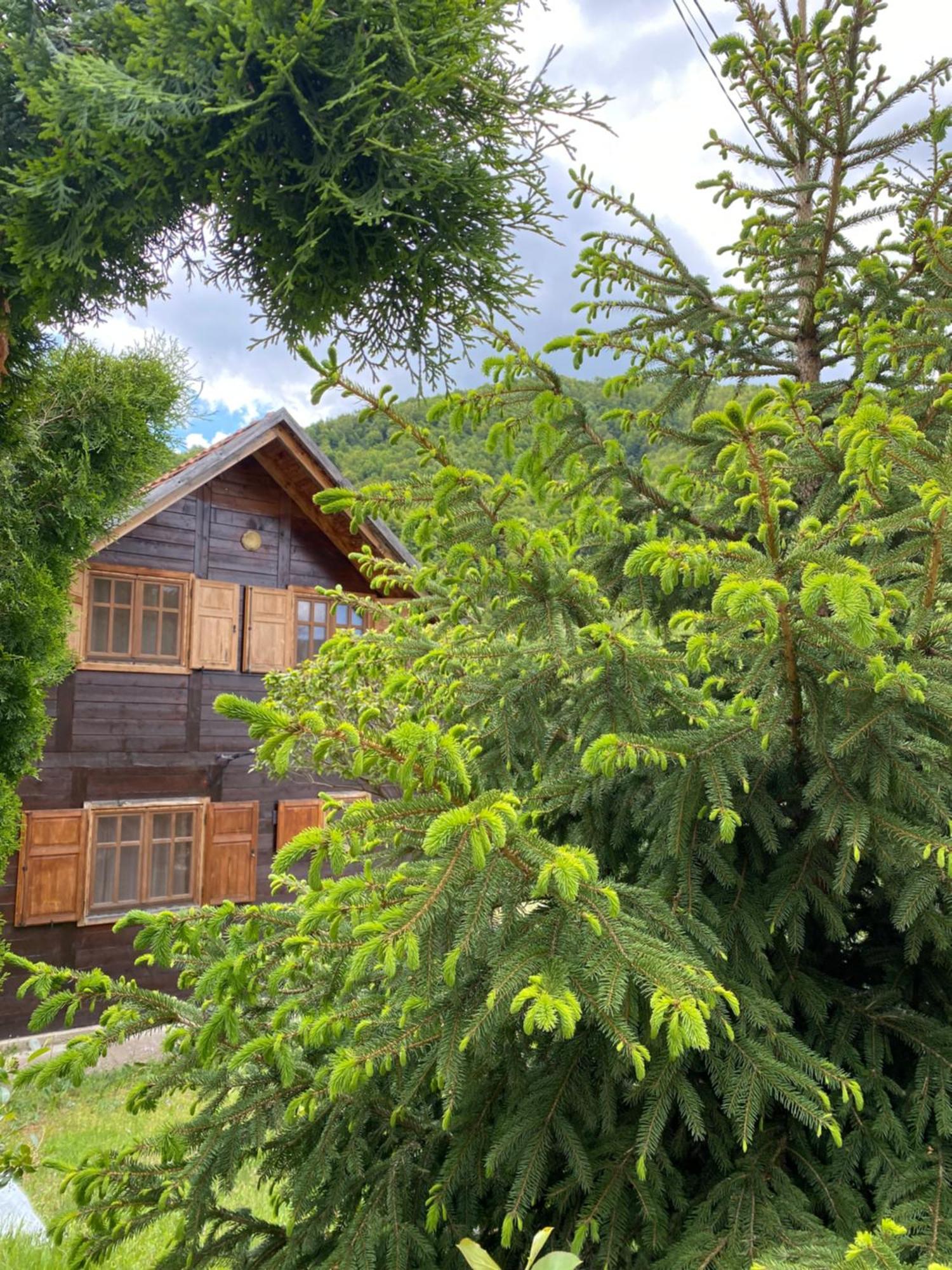 Aphrodite Hills Apartments-Stara Planina Crni Vrh Eksteriør billede