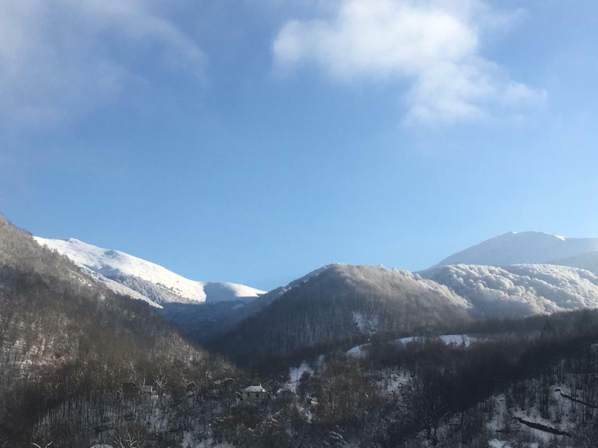 Aphrodite Hills Apartments-Stara Planina Crni Vrh Eksteriør billede